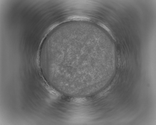 X0000074291074200609222303