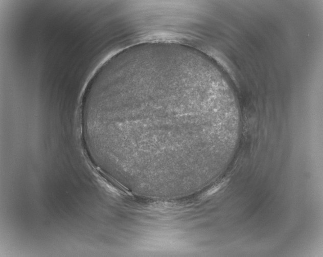 X0000074291075200609222303