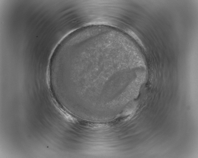 X0000074291076200609222303