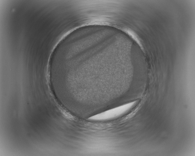 X0000074291077200609222303