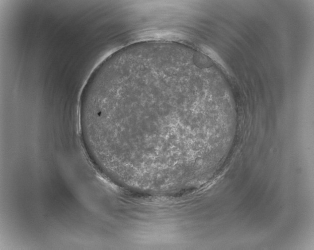 X0000074291079200609222303