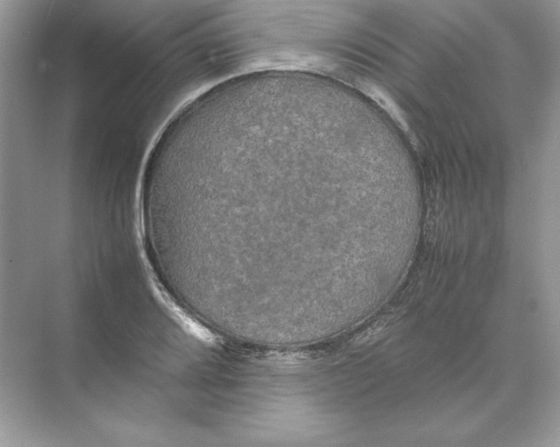 X0000074291080200609222303