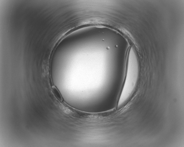 X0000074291081200609222303