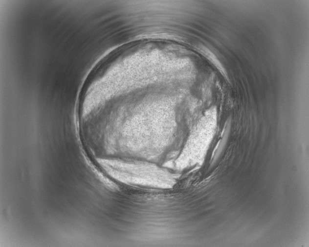 X0000074291084200609222303