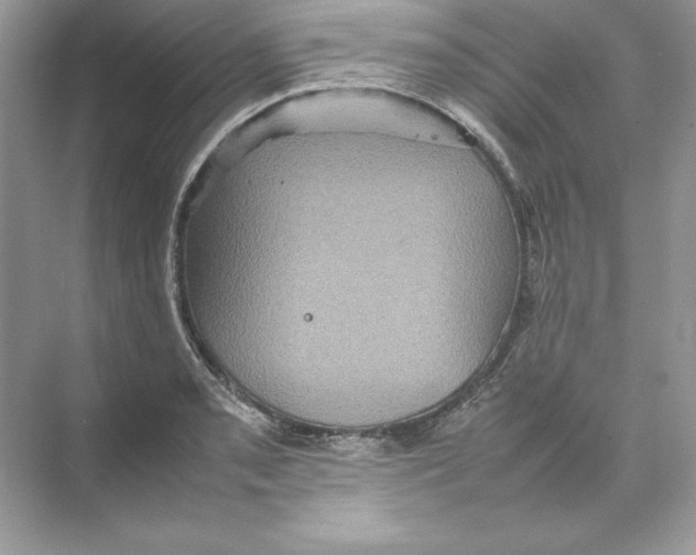 X0000074291085200609222303