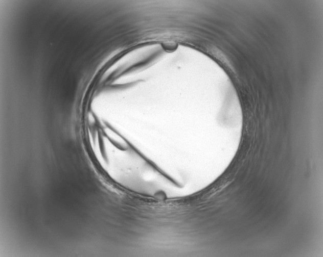 X0000074291087200609222303