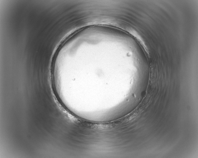 X0000074291088200609222303