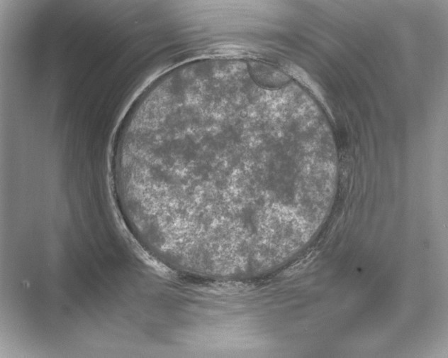 X0000074291091200609222303