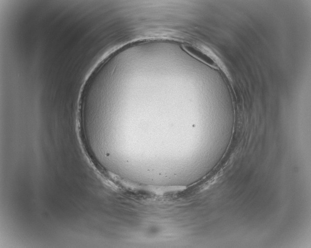 X0000074291093200609222303