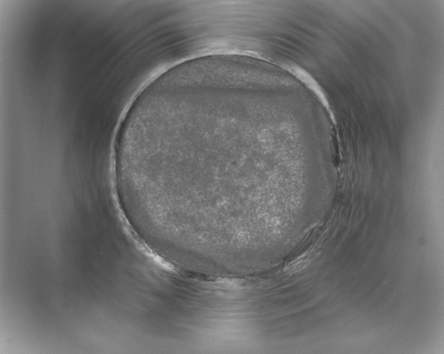 X0000074291096200609222303