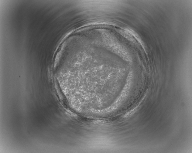 X0000074291097200609222303