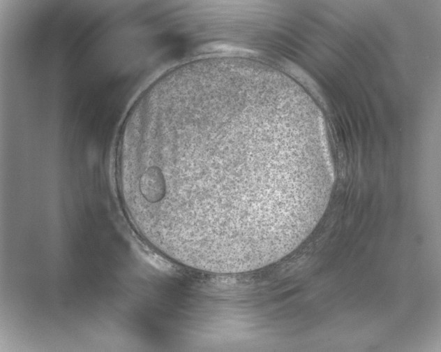 X0000074291098200609222302