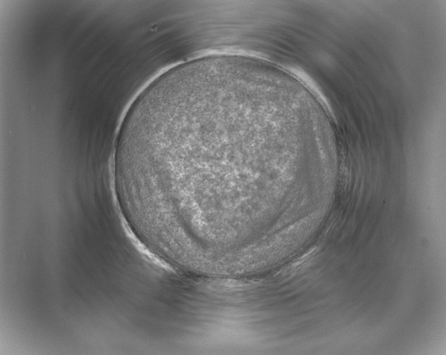 X0000074291100200609222302