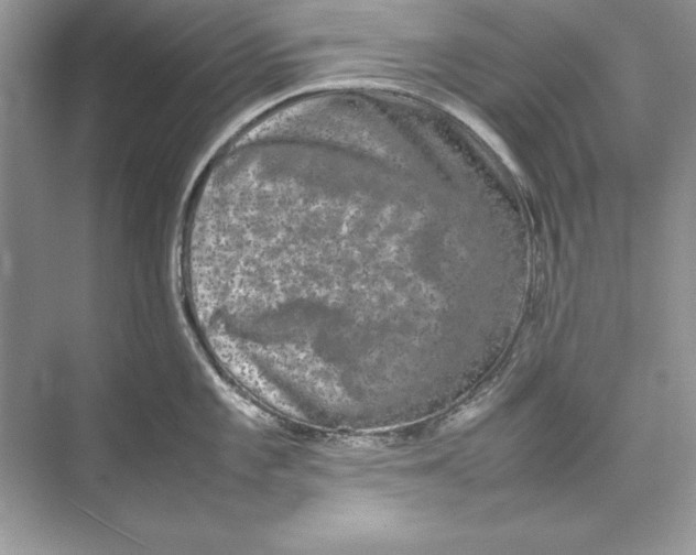 X0000074291101200609222302