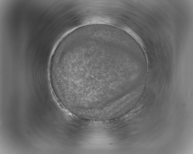 X0000074291104200609222302