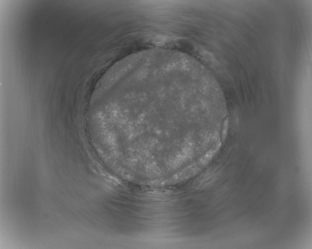 X0000074291105200609222302