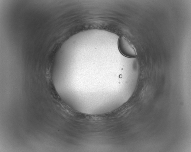 X0000074291109200609222302