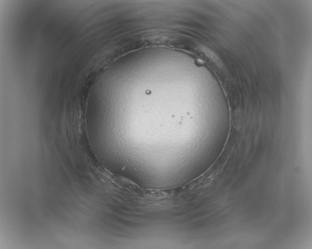 X0000074291111200609222302