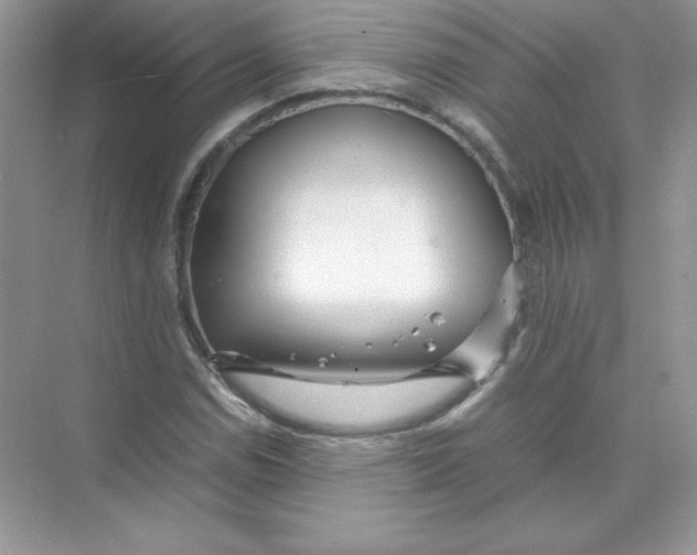 X0000074291114200609222302