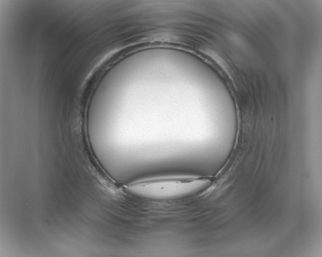 X0000074291115200609222302