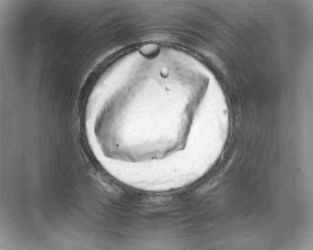 X0000074291117200609222302