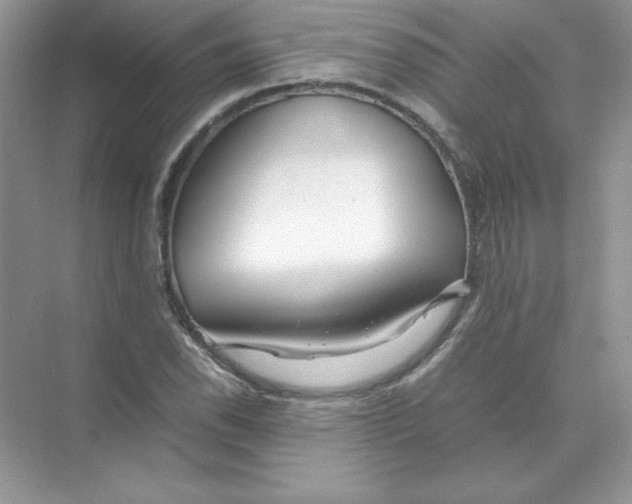 X0000074291118200609222302