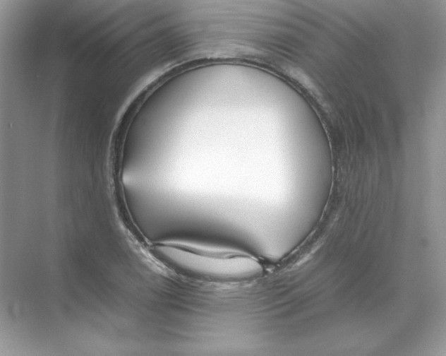 X0000074291122200609222302