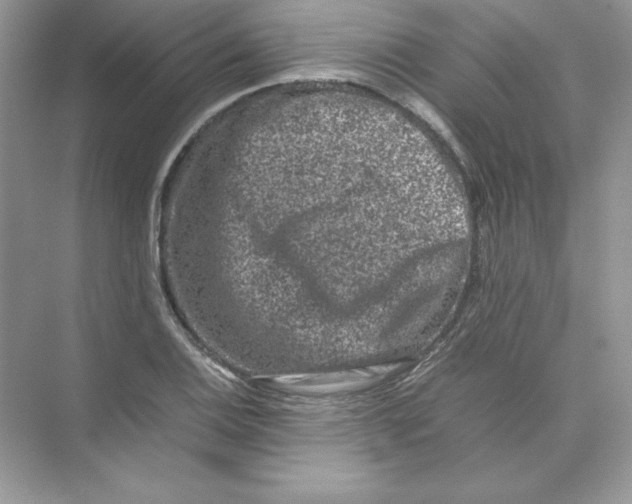 X0000074291124200609222302