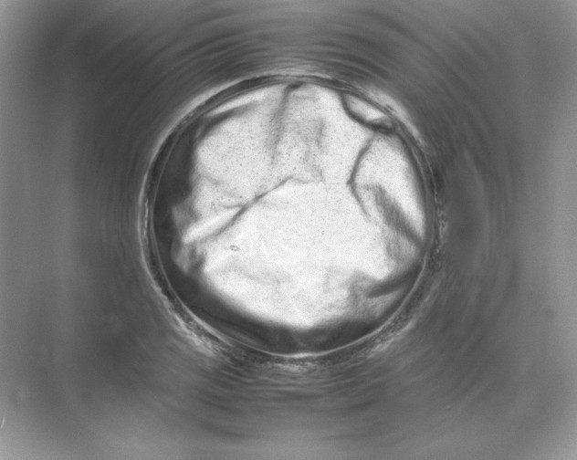 X0000074291125200609222302