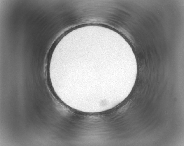 X0000074291126200609222302