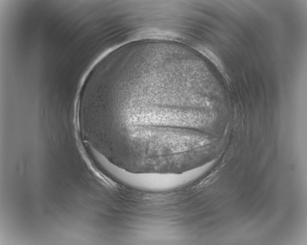 X0000074291128200609222302