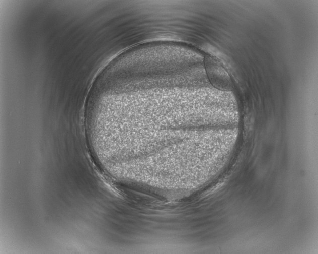 X0000074291129200609222302