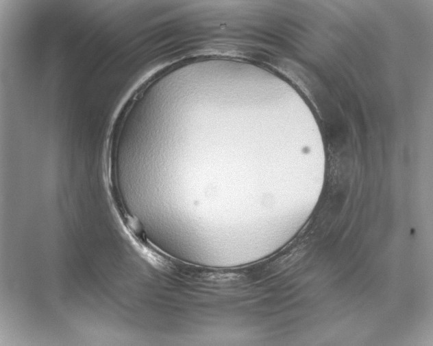 X0000074291131200609222302