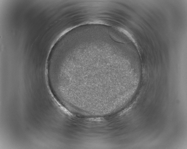 X0000074291133200609222302