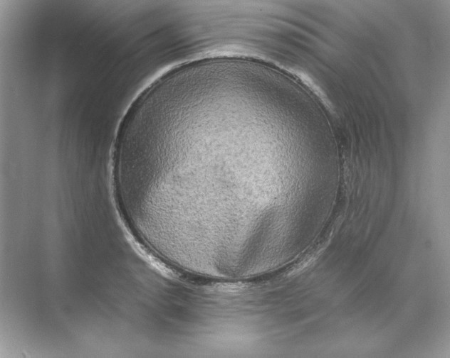 X0000074291134200609222302