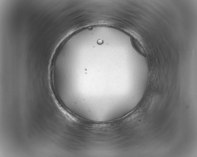 X0000074291135200609222302