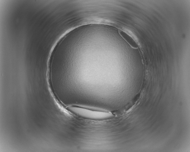 X0000074291136200609222302