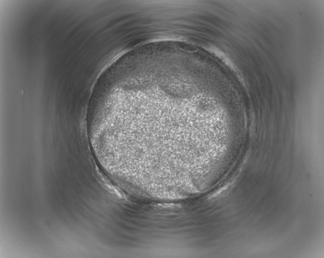 X0000074291137200609222302