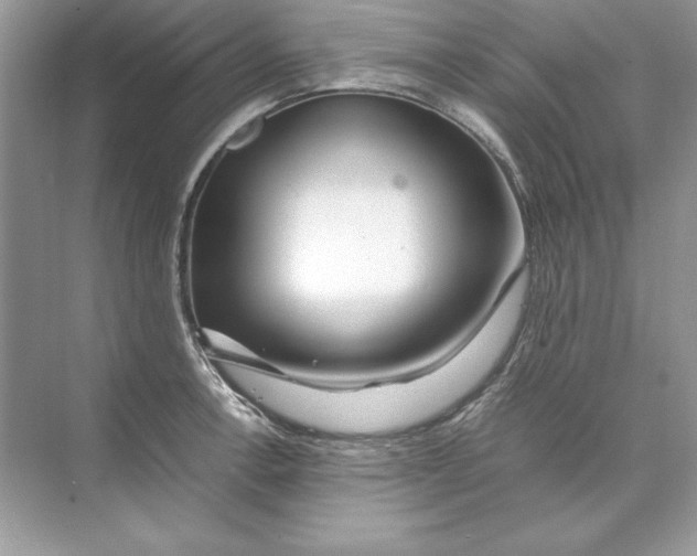 X0000074291138200609222302