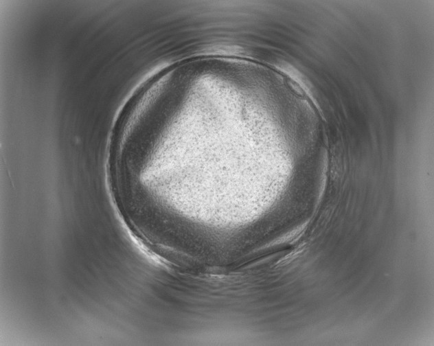 X0000074291139200609222302