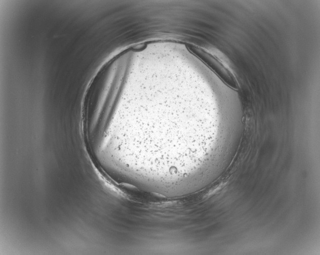 X0000074291143200609222302