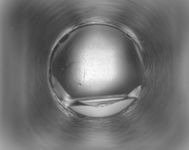 X0000074291146200609222302