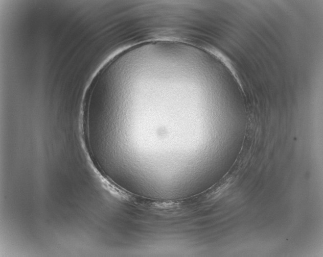 X0000074291147200609222302