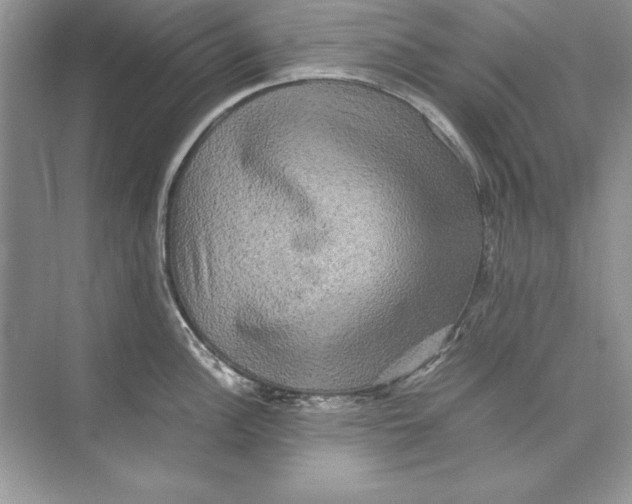 X0000074291148200609222302