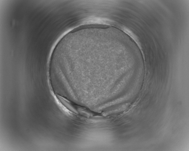 X0000074291152200609222302