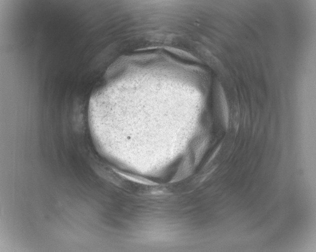 X0000074291154200609222302