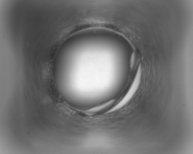 X0000074291157200609222302