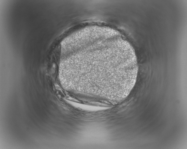 X0000074291159200609222301