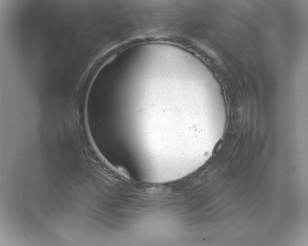 X0000074291160200609222301