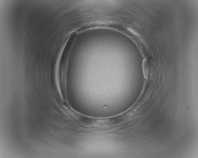 X0000074291161200609222301